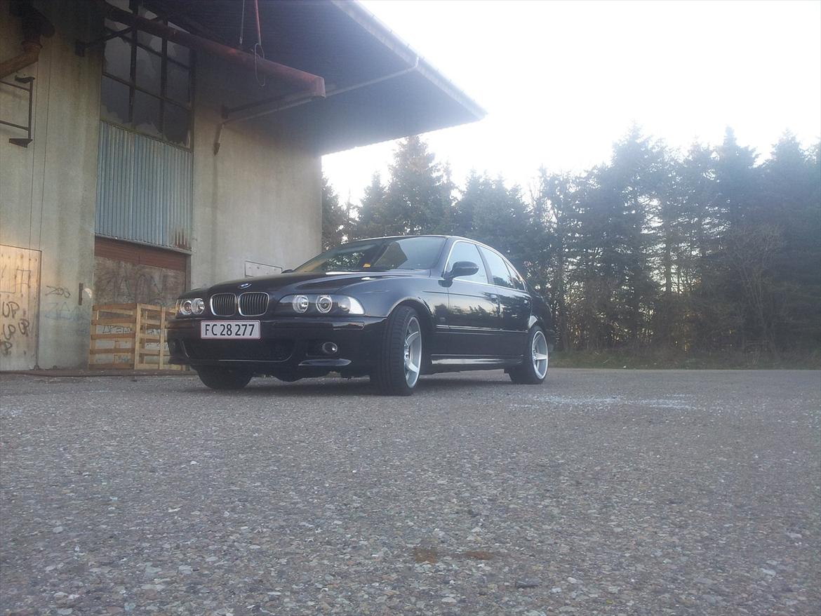 BMW E39 540  (6 Manuel) billede 3