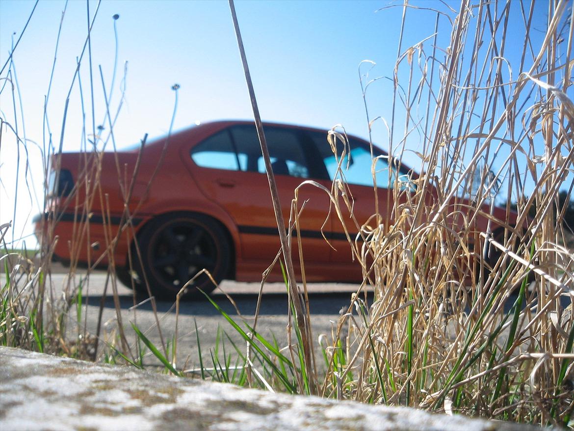 BMW E36 328i billede 5