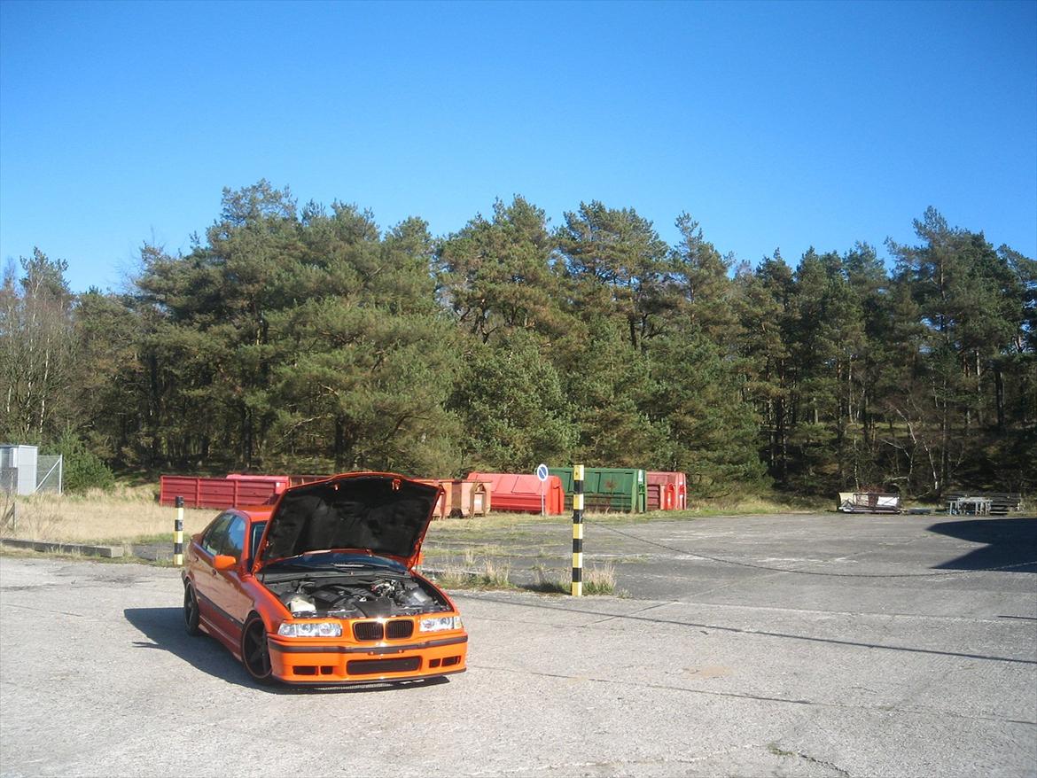 BMW E36 328i billede 14