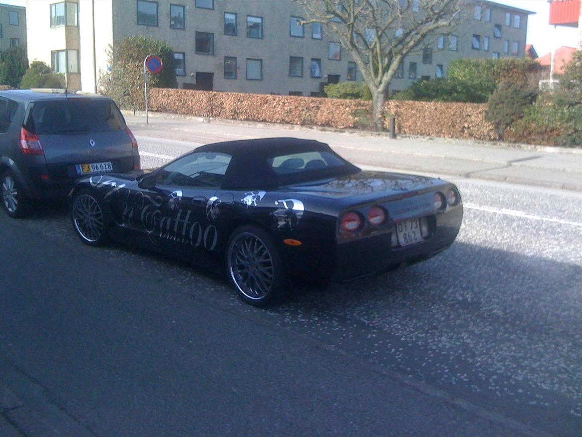 Chevrolet corvette c5 caprio billede 2