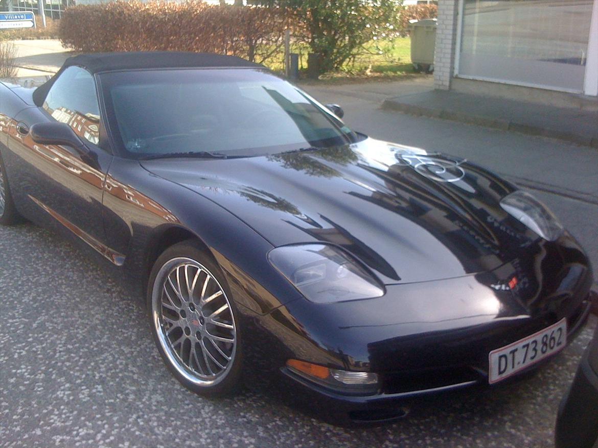 Chevrolet corvette c5 caprio billede 5