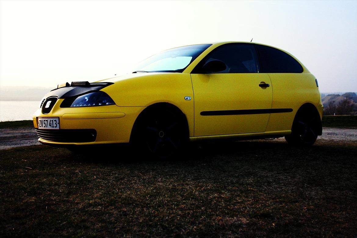 Seat Ibiza 1,9 TDI billede 2