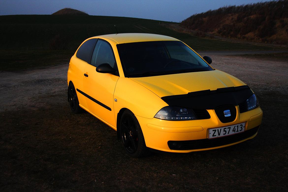 Seat Ibiza 1,9 TDI billede 3