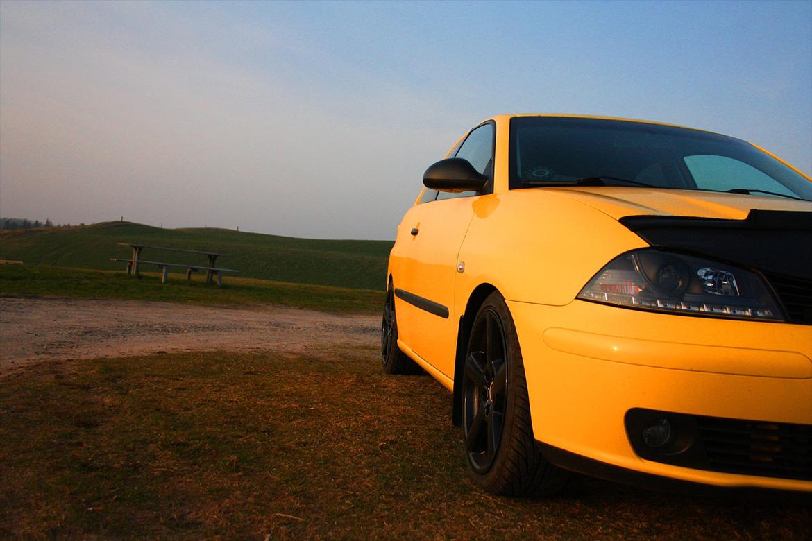 Seat Ibiza 1,9 TDI billede 4