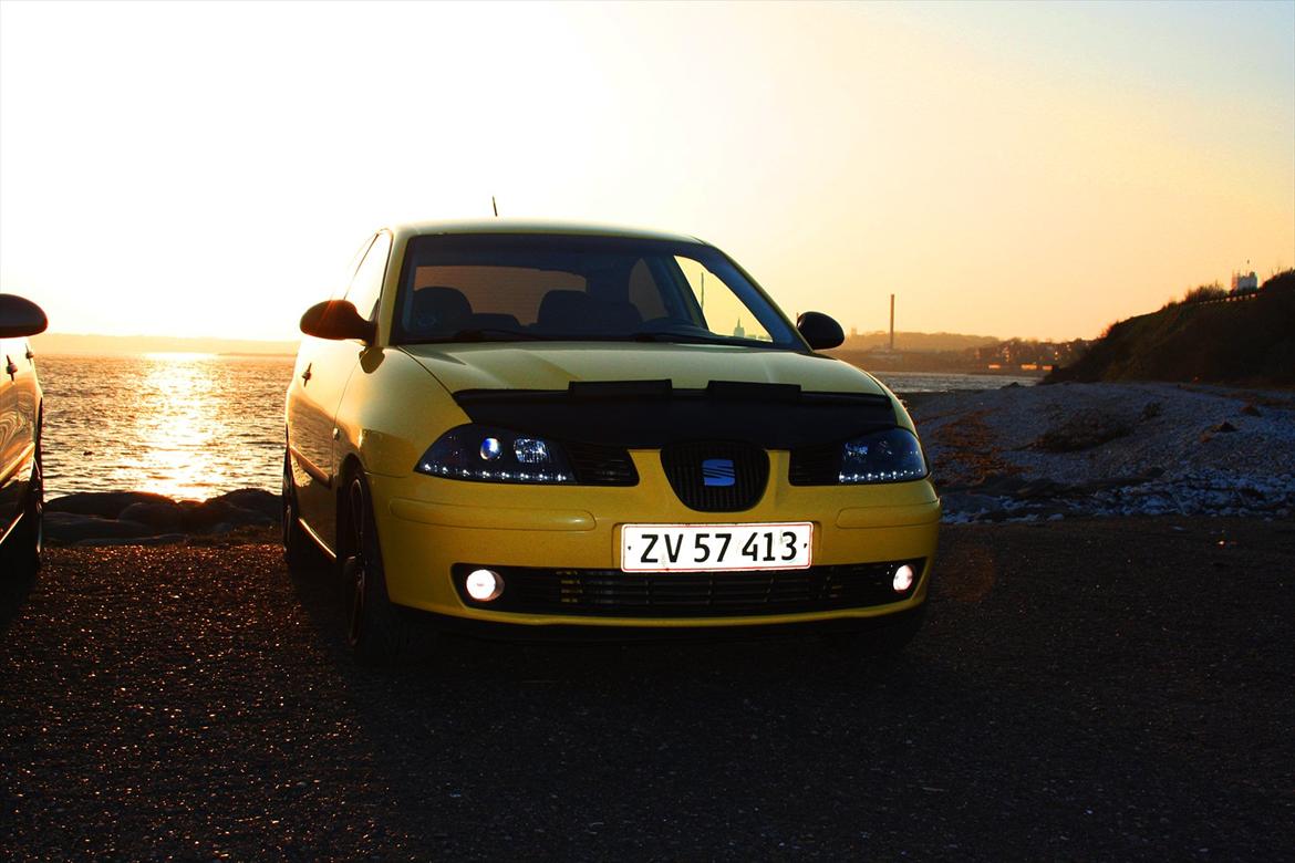 Seat Ibiza 1,9 TDI billede 10