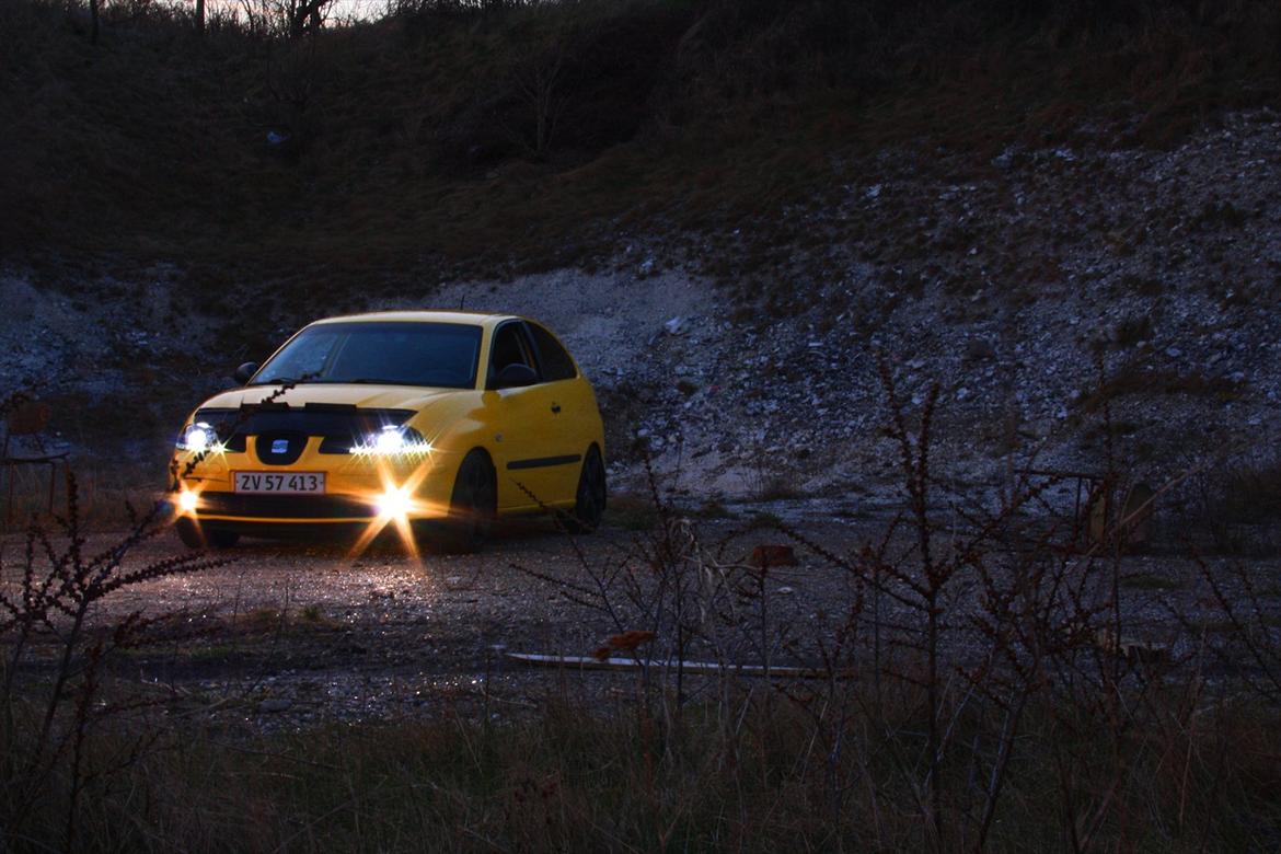 Seat Ibiza 1,9 TDI billede 13