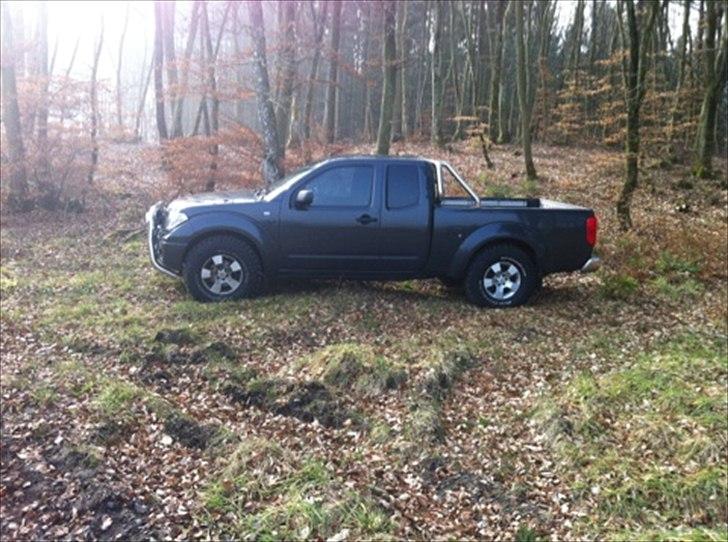 Nissan Navara king cab 4wd billede 1