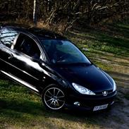 Peugeot 206 GTi 2.0 16V