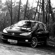 Peugeot 206 GTi 2.0 16V