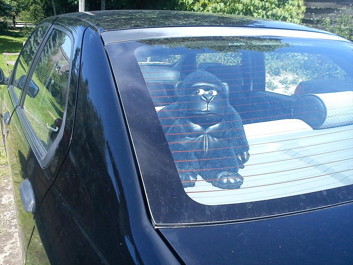 Alfa Romeo 146 (DØD) - Min mascot  billede 13