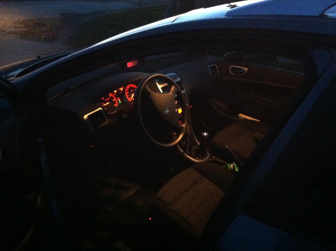 Peugeot 307 Sw Airvan billede 10