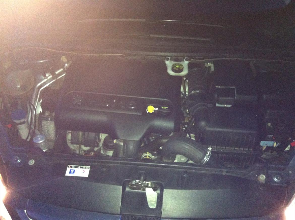 Peugeot 307 Sw Airvan billede 12