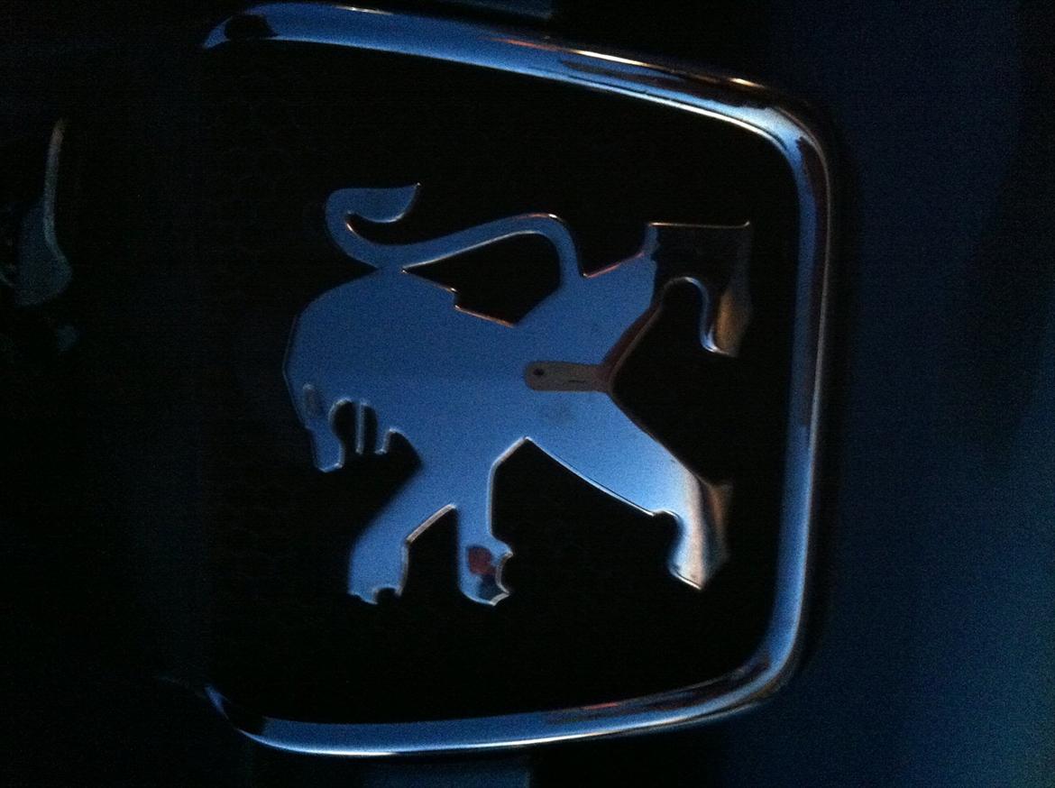 Peugeot 307 Sw Airvan billede 13