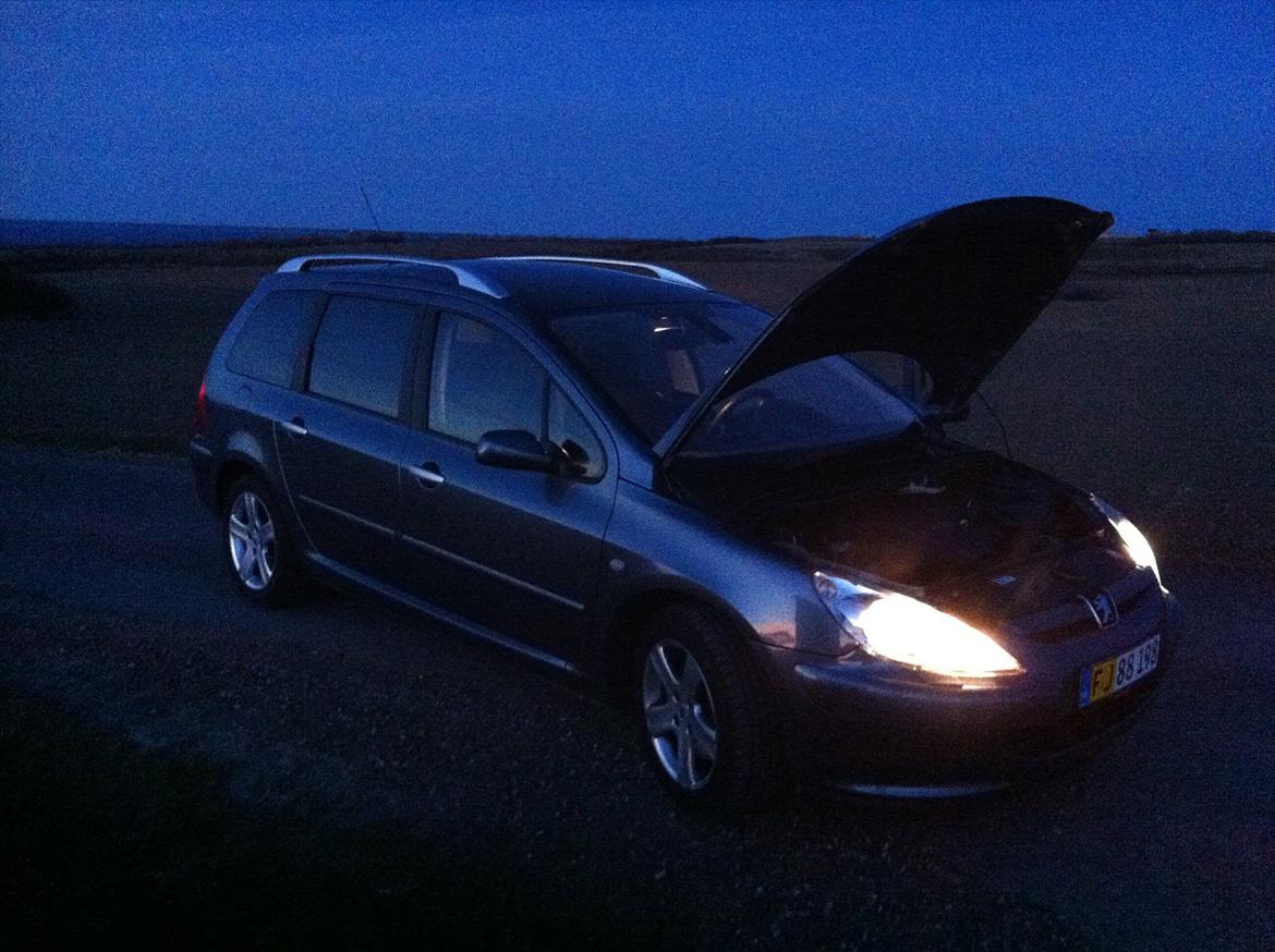 Peugeot 307 Sw Airvan billede 14