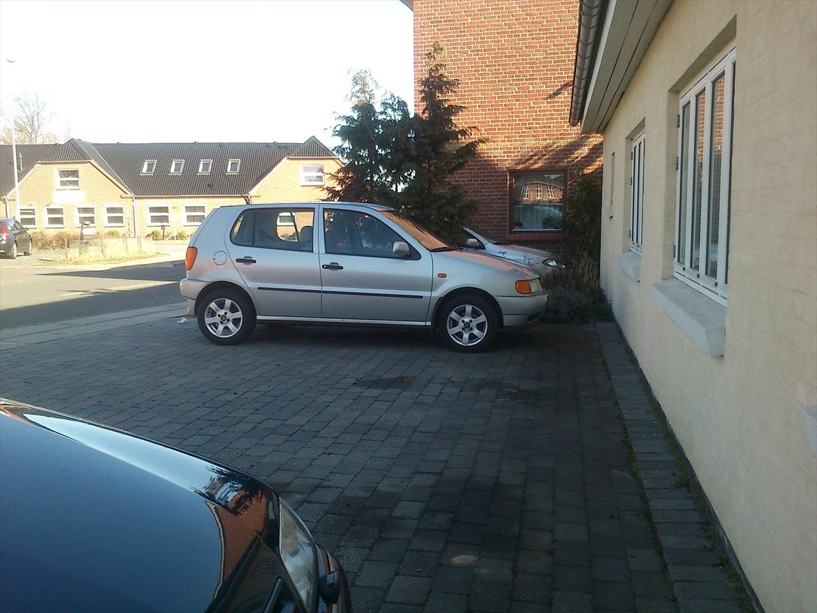 VW Polo 6n ~BetteDora~ - Lige et nyt med hendes sommersutter, de klær hende nu meget godt. :) billede 13