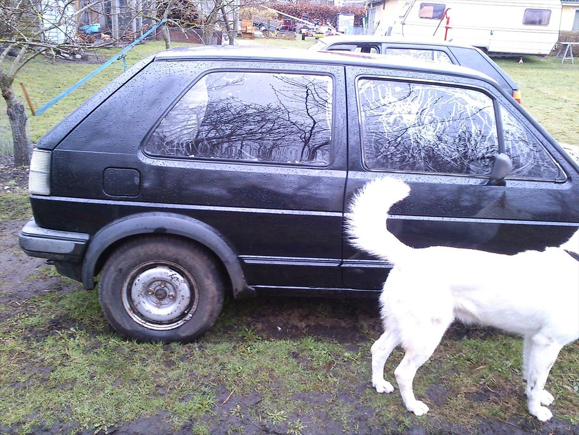 VW golf 2 1.6 D Skrottet 2500,. billede 8