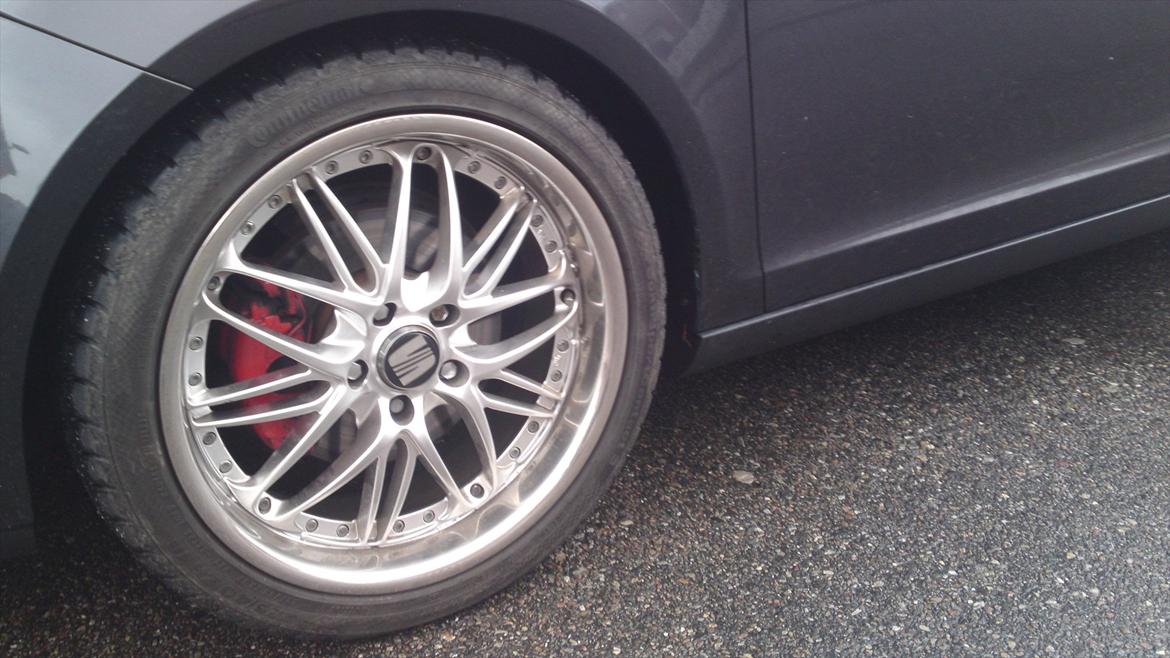 Seat altea billede 20