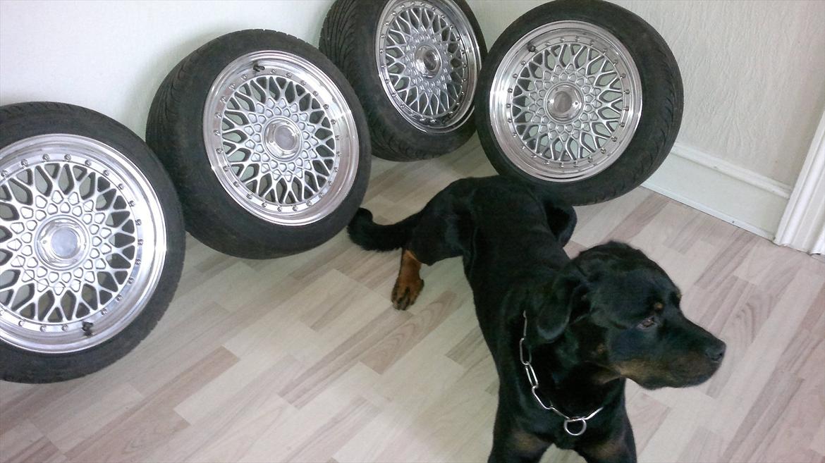 Opel kadett d 14 se/ v6 ? billede 14