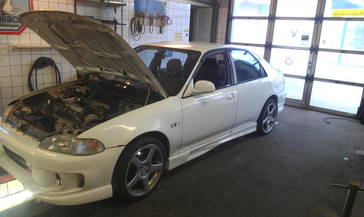 Honda civic billede 1