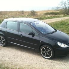 Peugeot 307 1.6 16V