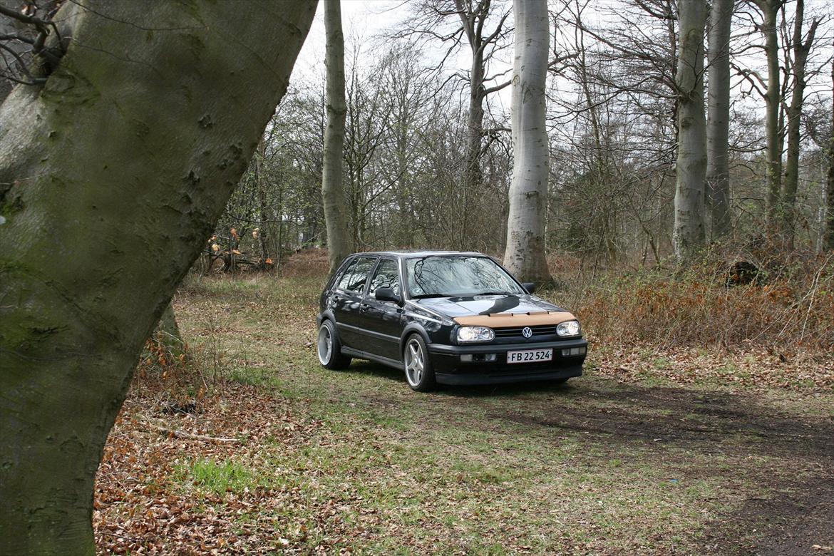 VW Golf 3 VR6 billede 3