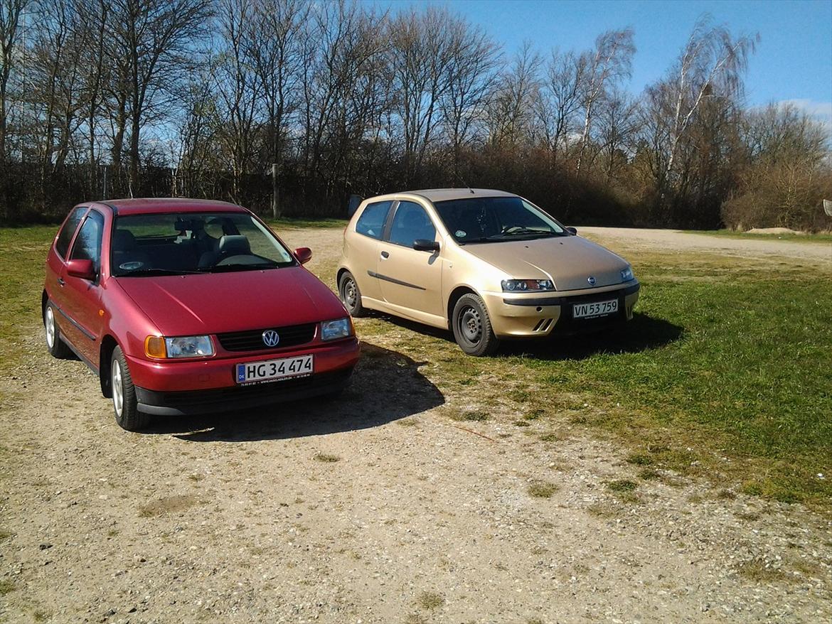 Fiat Punto Sporting billede 8