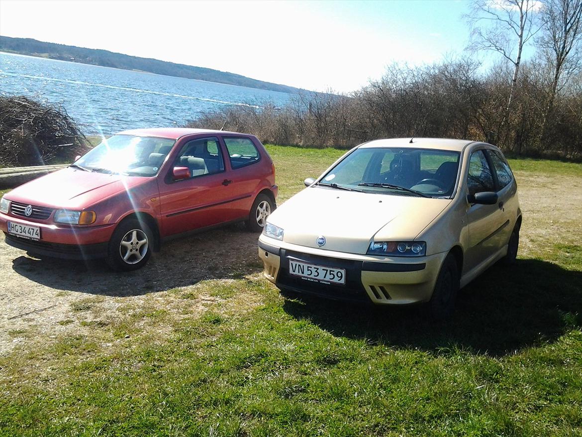 Fiat Punto Sporting billede 9