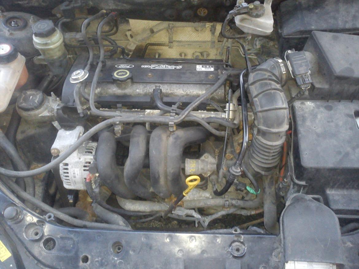 Ford Focus 1,6 Trend billede 6