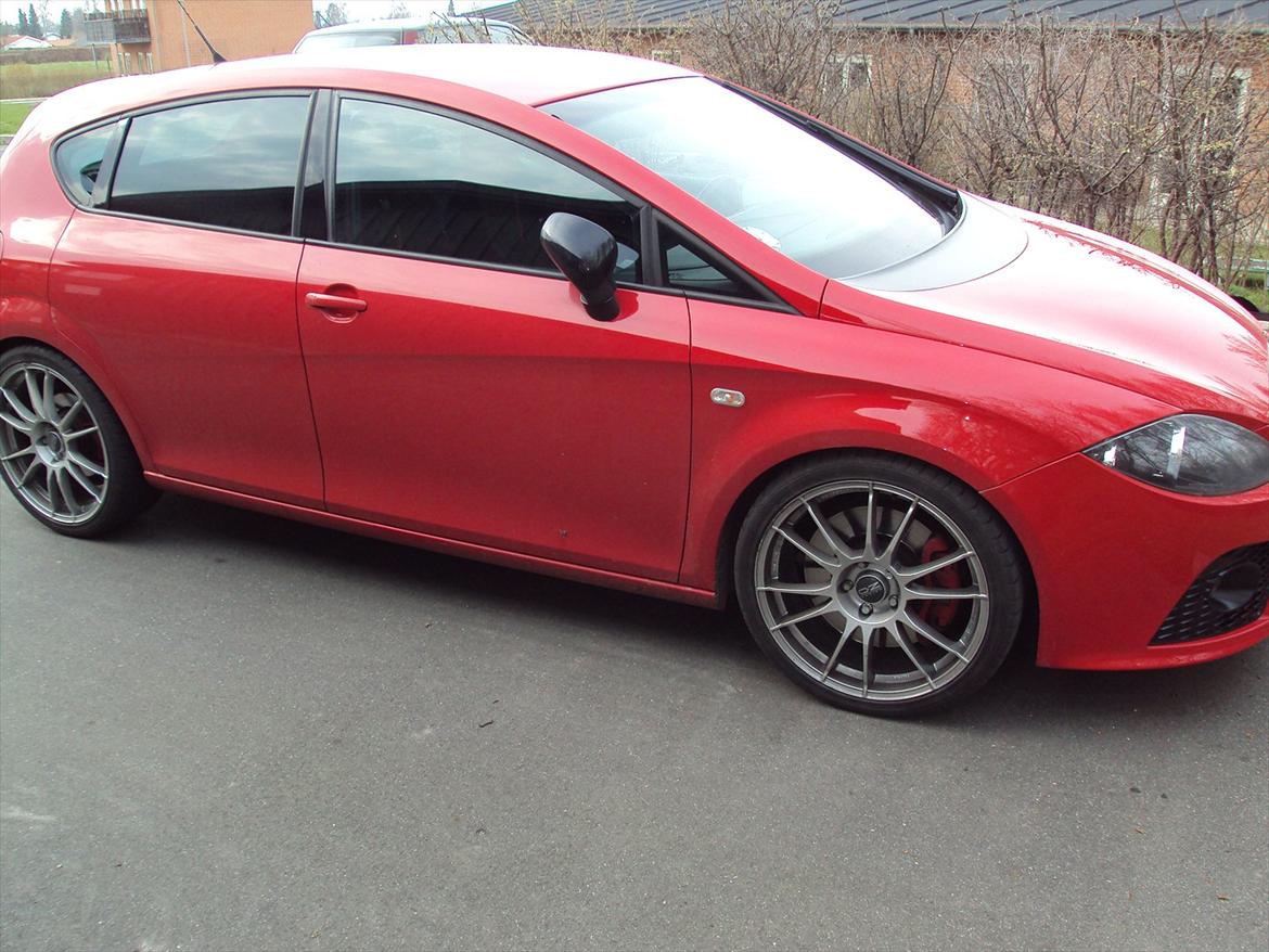 Seat leon cupra billede 1