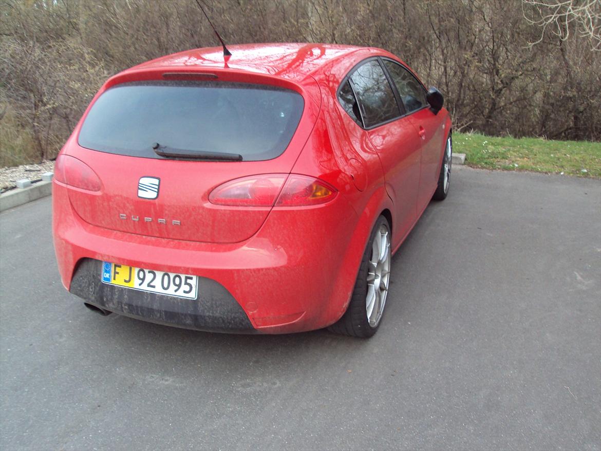 Seat leon cupra billede 4