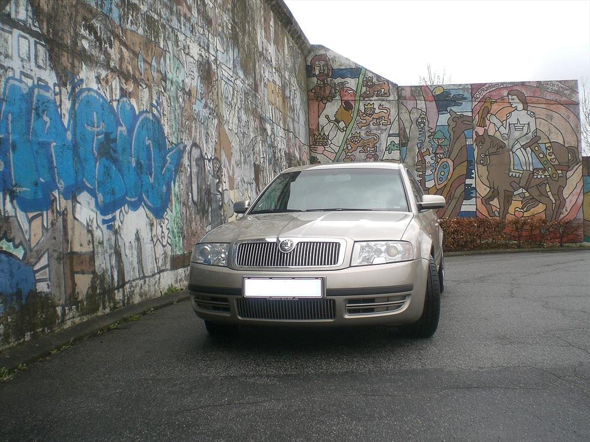 Skoda Superb (Champagnefarvet) - Krom frontgrill billede 2