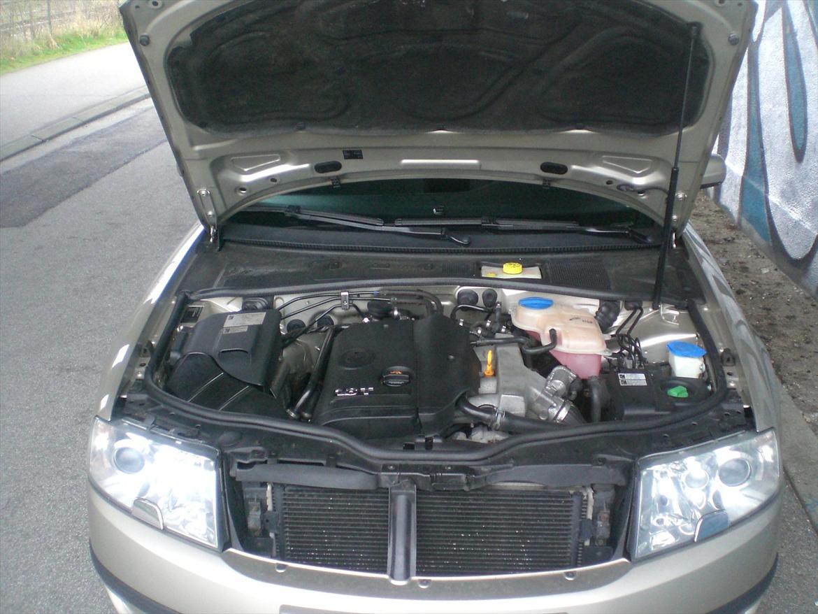 Skoda Superb (Champagnefarvet) billede 12