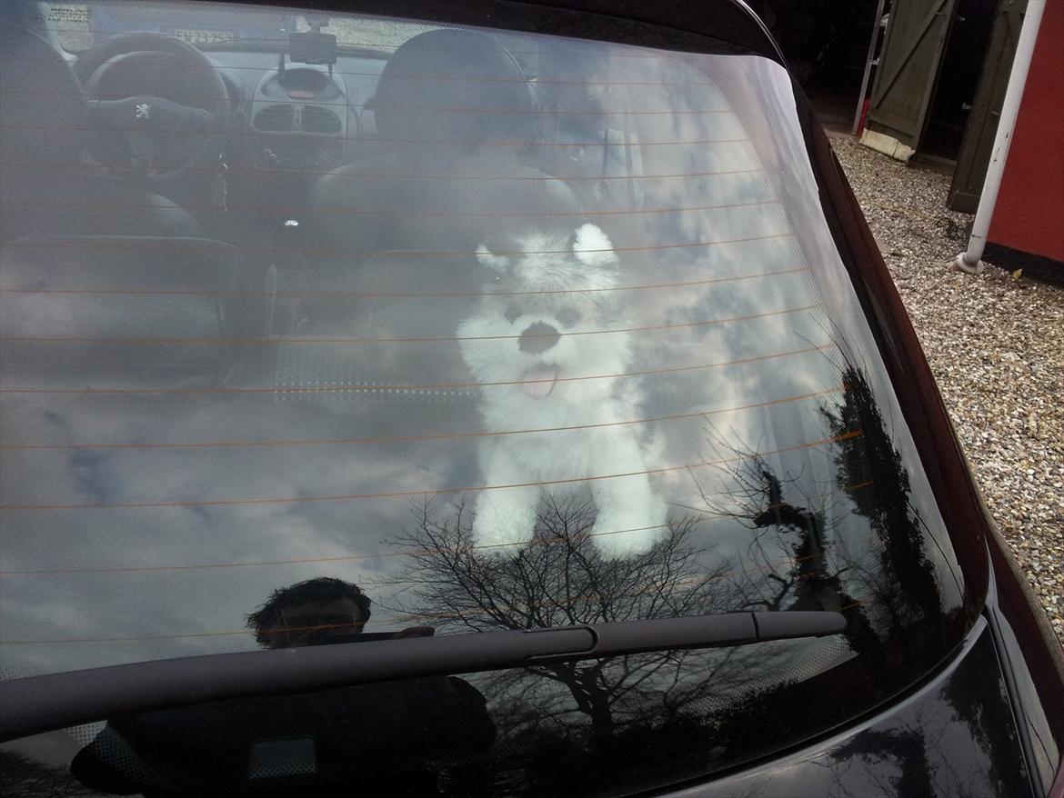 Peugeot 206 1,6 Sport billede 8