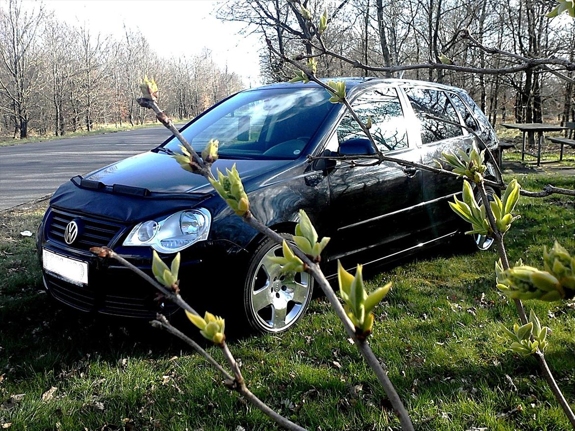 VW Polo 9n3 1,9 TDI billede 5