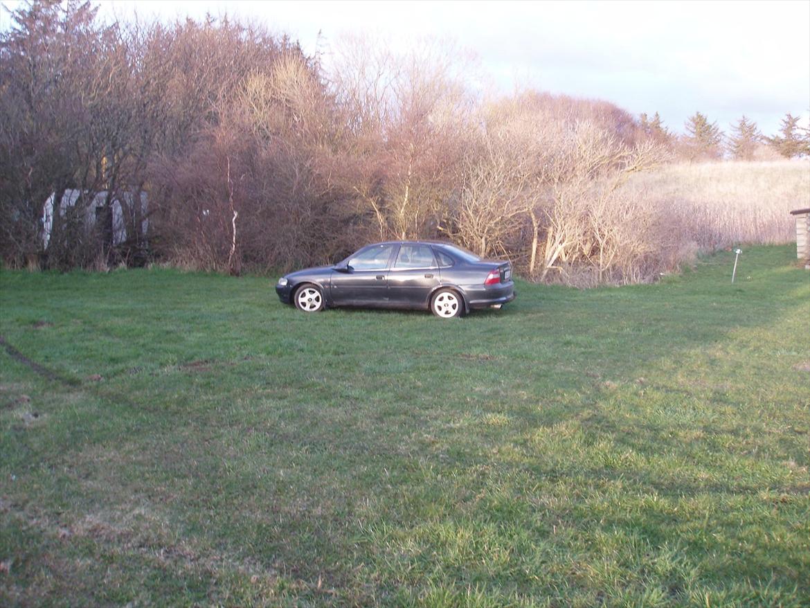 Opel Vectra B billede 1