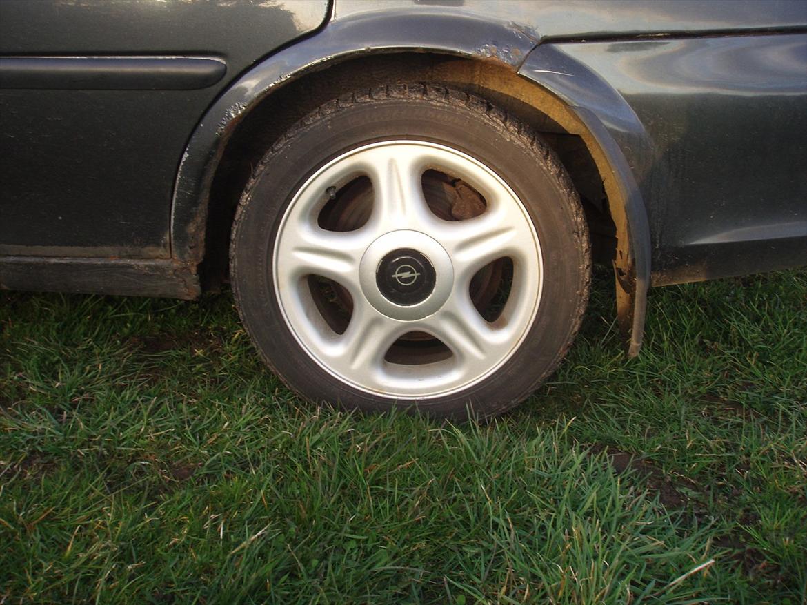 Opel Vectra B - Vinterfælgene! billede 9