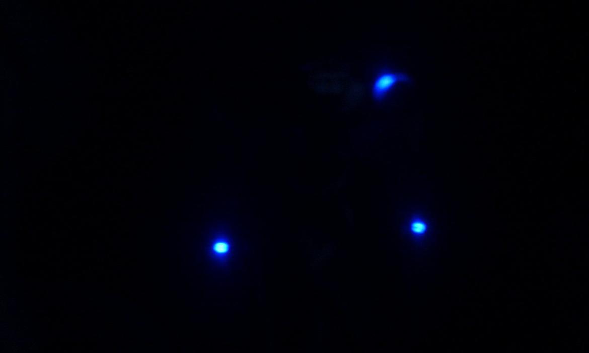 Opel Vectra B - Dioderne i cigartænder/el rude kontakterne. Bedre billeder kommer når kablet til digital kameraet er fundet billede 15