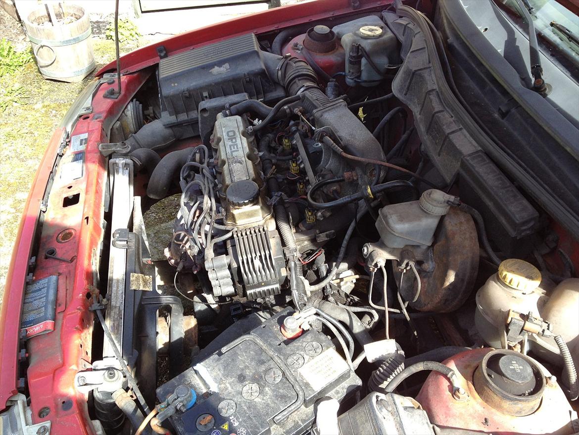 Opel Astra F 1.6i SE billede 18