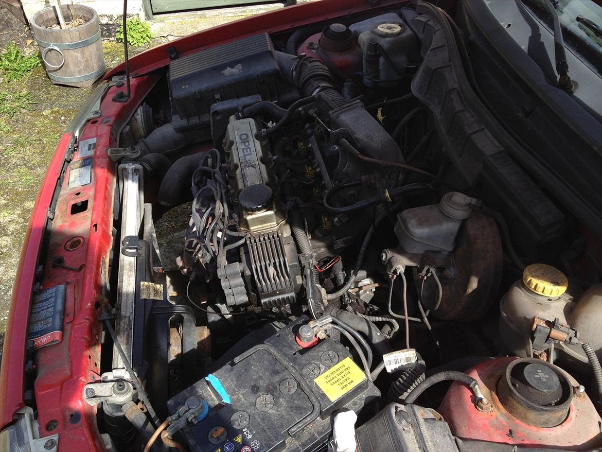 Opel Astra F 1.6i SE billede 19