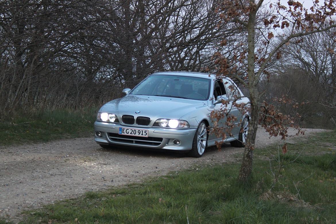 BMW E39 540i (M5 LOOK) billede 12
