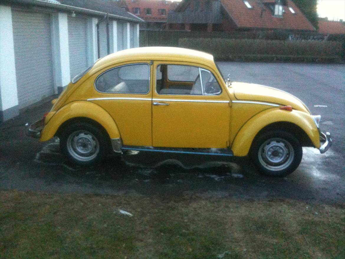VW bobbel - så kom der en ny 69'er i stalden :o) billede 12