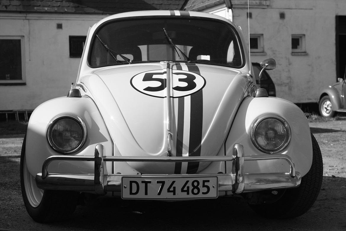 VW Bobbel Newschool Herbie billede 2