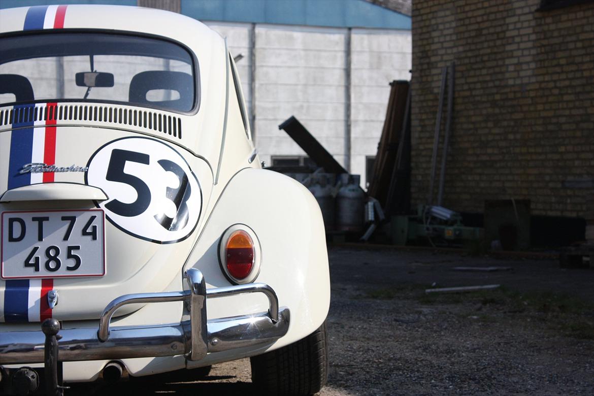 VW Bobbel Newschool Herbie billede 3