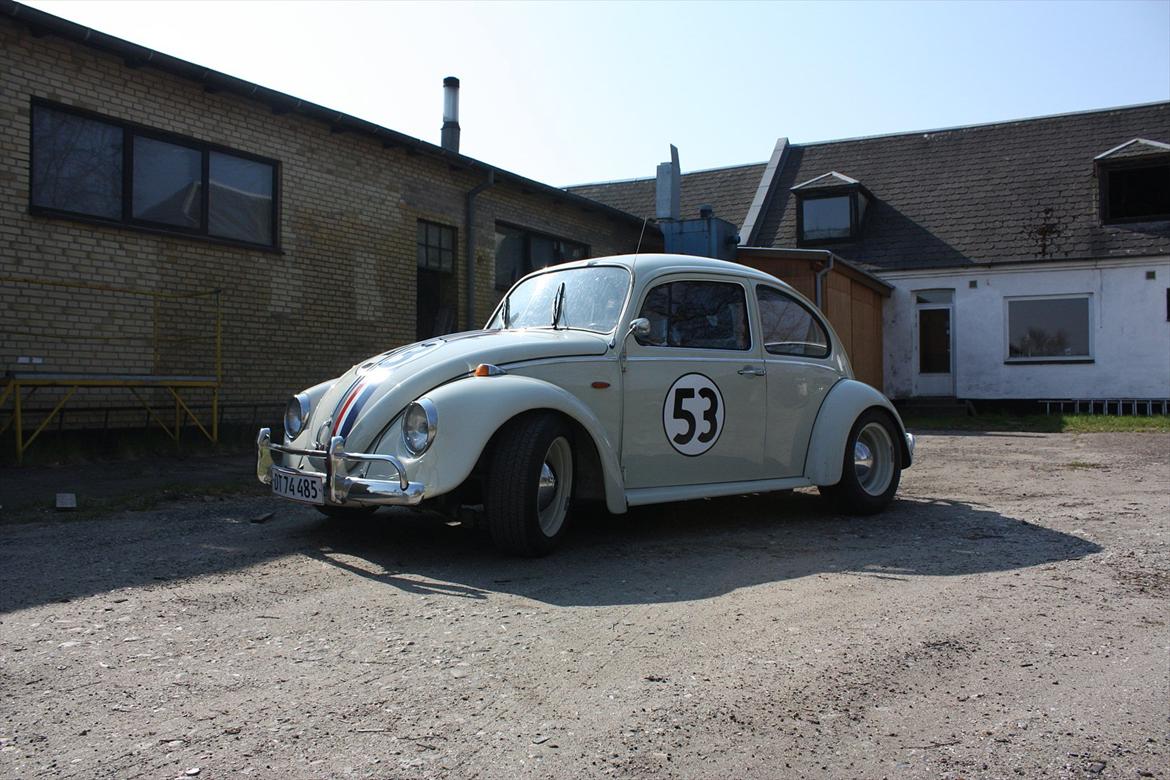 VW Bobbel Newschool Herbie billede 5