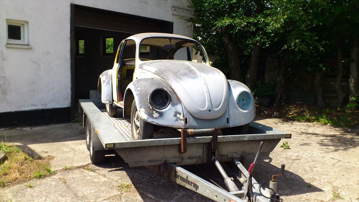 VW Bobbel Newschool Herbie billede 12