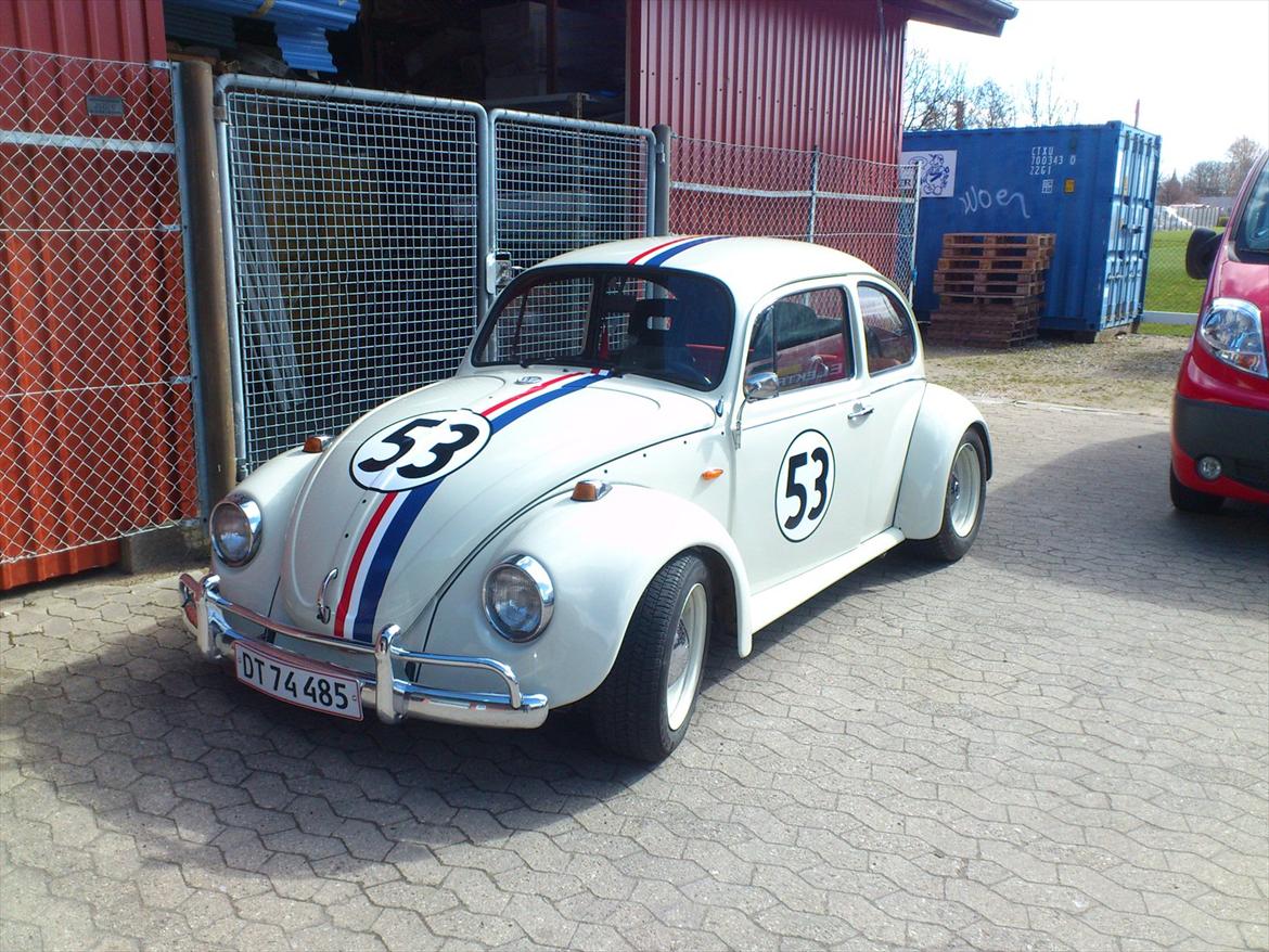 VW Bobbel Newschool Herbie billede 17