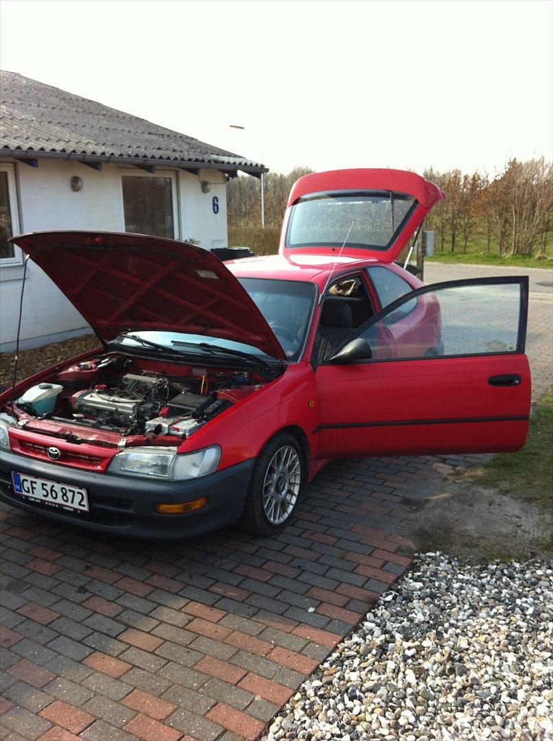 Toyota corolla billede 2