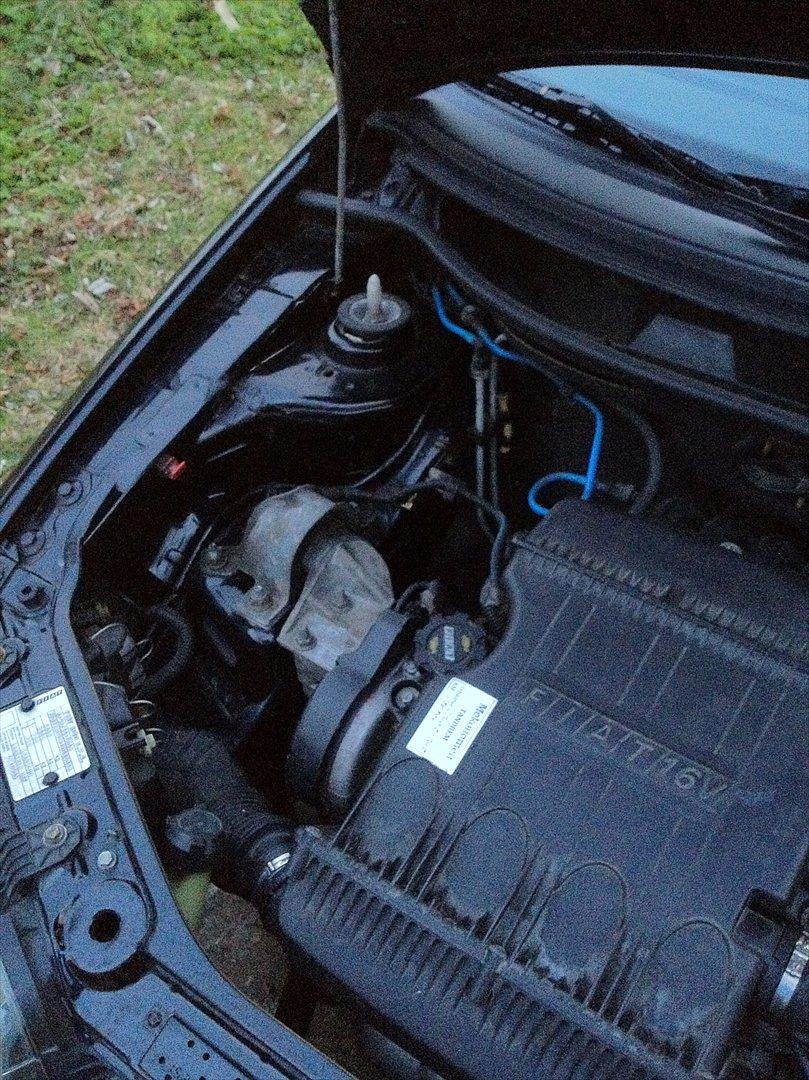 Fiat Punto Sporting billede 15