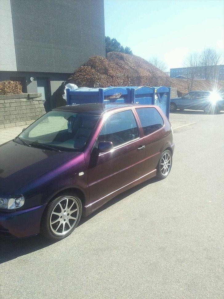 VW Polo billede 1