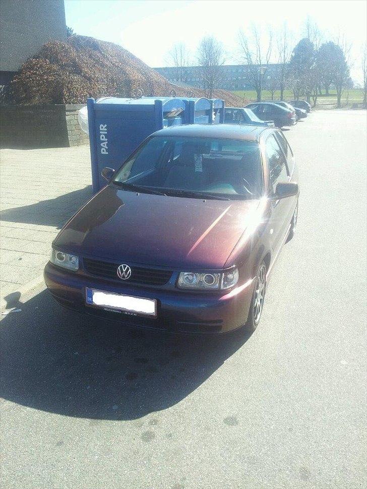VW Polo billede 7